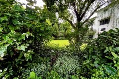Landscaped garden greenery bordering a residence