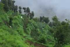 WhatsApp-Image-2026-07-29-at-21.17.38