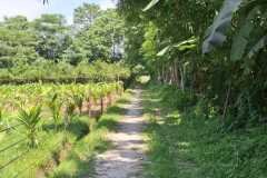 WhatsApp-Image-2026-08-13-at-13.10.41-1