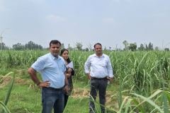Moradabad-img2