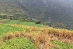 WhatsApp-Image-2026-01-29-at-9.37.01-AM