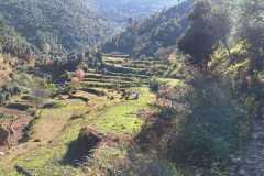 WhatsApp-Image-2026-01-29-at-9.37.02-AM-1