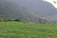 WhatsApp-Image-2026-01-29-at-9.37.02-AM-2