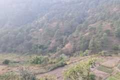 WhatsApp-Image-2026-01-29-at-9.37.02-AM