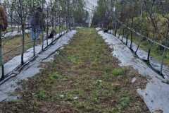 WhatsApp-Image-2026-01-29-at-9.37.03-AM-1