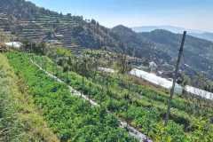 WhatsApp-Image-2026-01-29-at-9.37.04-AM-1