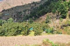 WhatsApp-Image-2026-01-29-at-9.37.05-AM-1