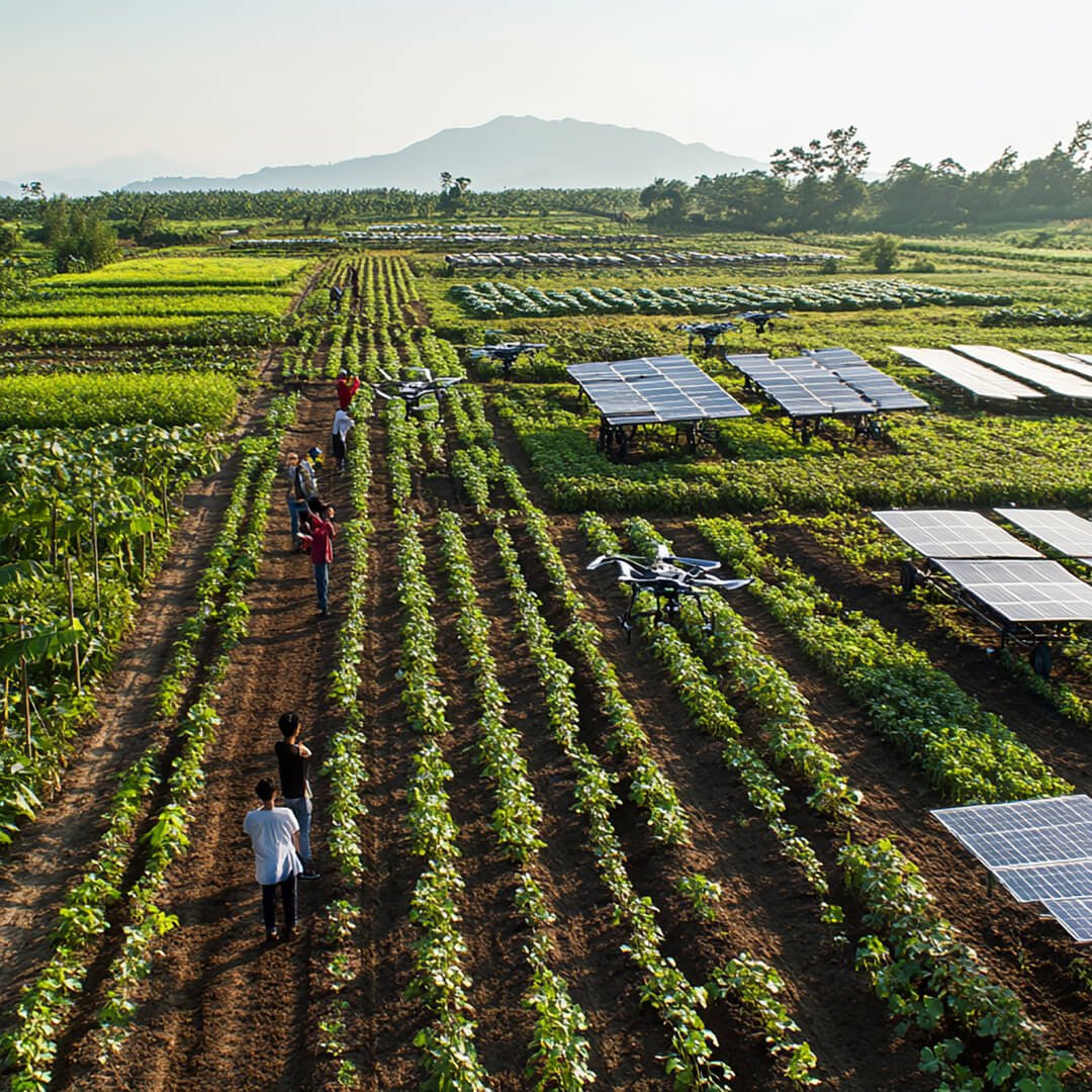 Agriculture Image 2