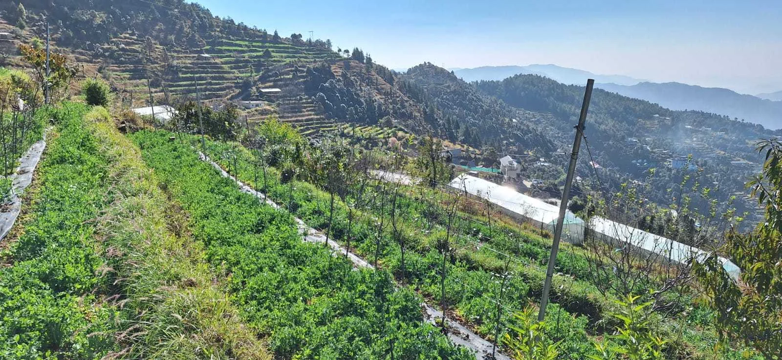 Study On The Sustainability Of Water Interventions For Livelihoods