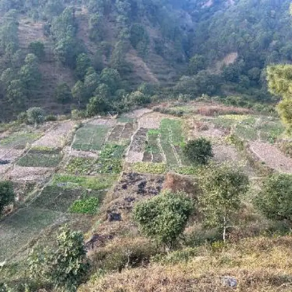 Himalyas Water Img1