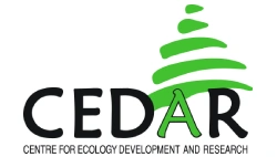 Cedarlogo